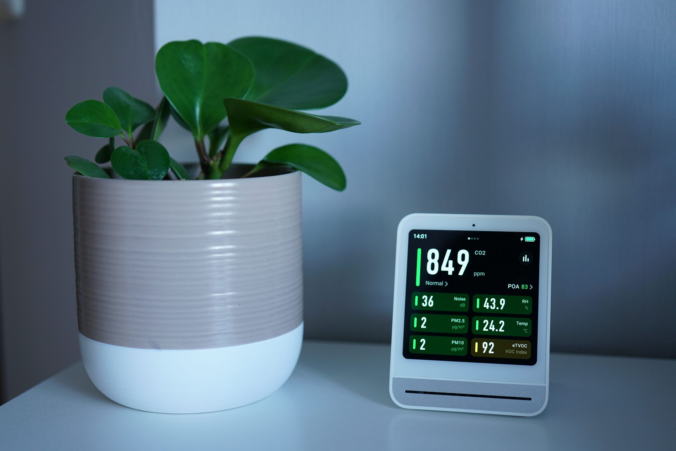 Air quality monitor next to a potted plant on a desk, showing CO2 and PM2.5 levels — illustrating: Which air purifier I’d pick for a family dealing with allergies year-round